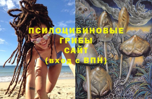 винт Верхний Тагил