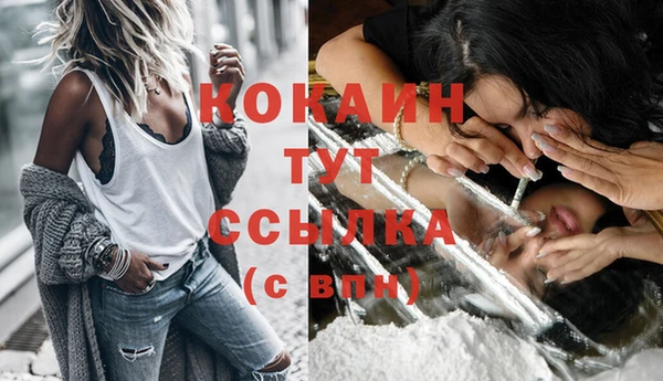 хмурый Верея
