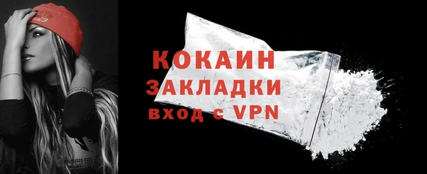 хмурый Верея