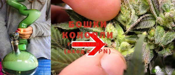 хмурый Верея
