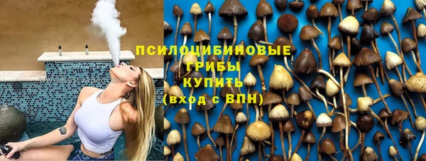 хмурый Верея