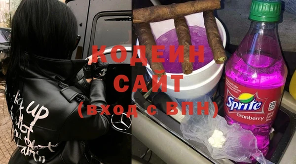 хмурый Верея