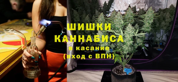 хмурый Верея