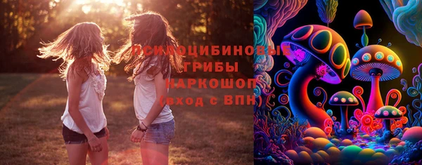 мдпв Верхнеуральск