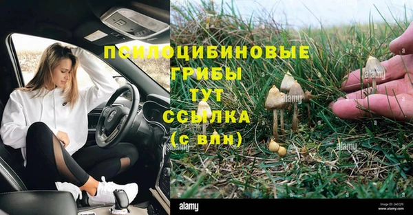 хмурый Верея