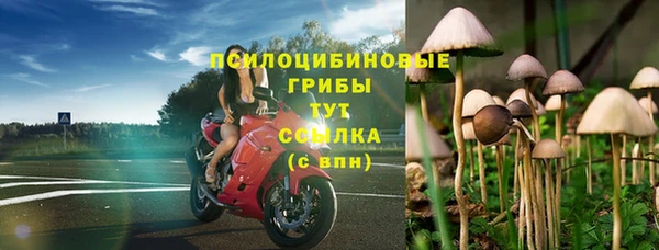 винт Верхний Тагил