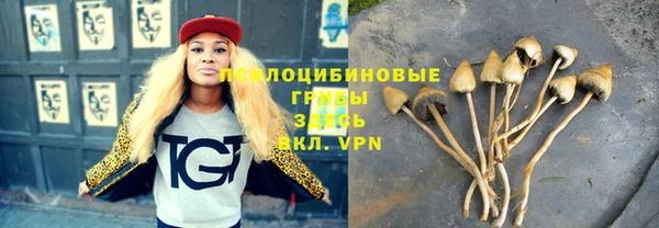 хмурый Верея