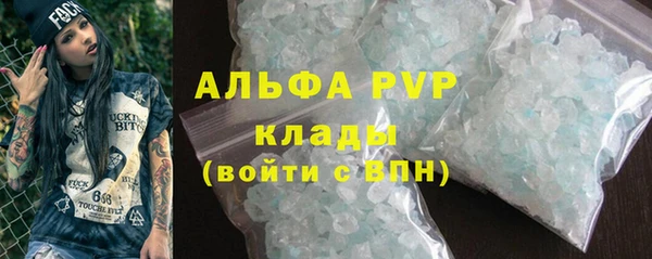 хмурый Верея