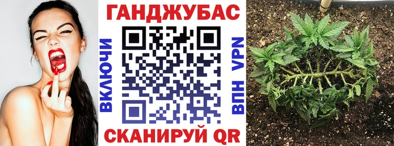 магазин продажи наркотиков  Новоржев  Каннабис LSD WEED 